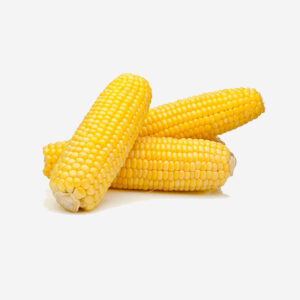 Sweet-Corn