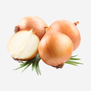 ORANGE baladi-500×500 (10) (1)