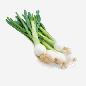 ORANGE baladi-500×500 (10) (3)